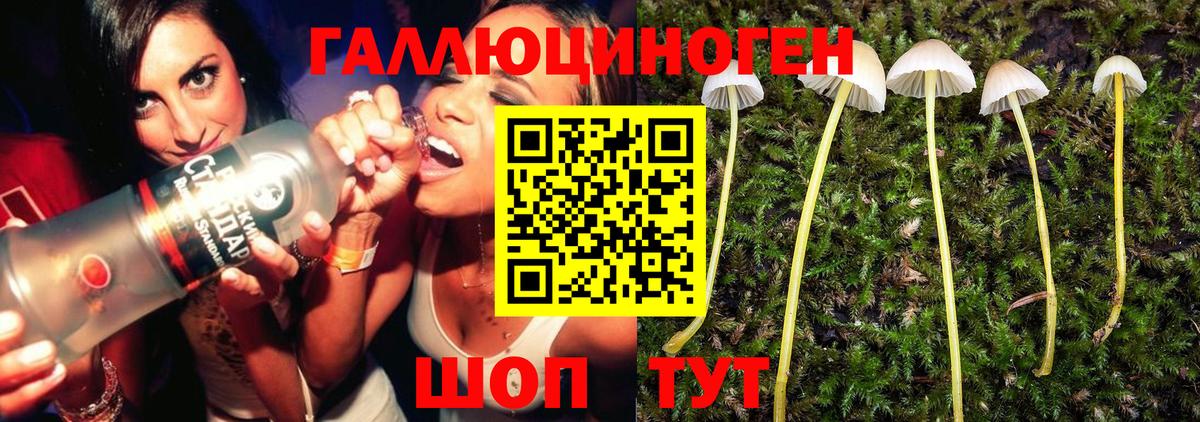 Галлюциногенные грибы Psilocybe  даркнет сайт  Верхний Уфалей  Вход с VPN  Псилоцибиновые грибы Psilocybe 