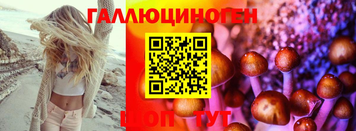 Псилоцибиновые грибы прущие грибы Верхний Уфалей